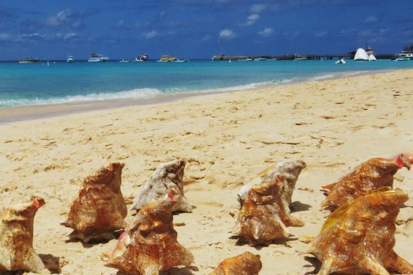 Bahamas